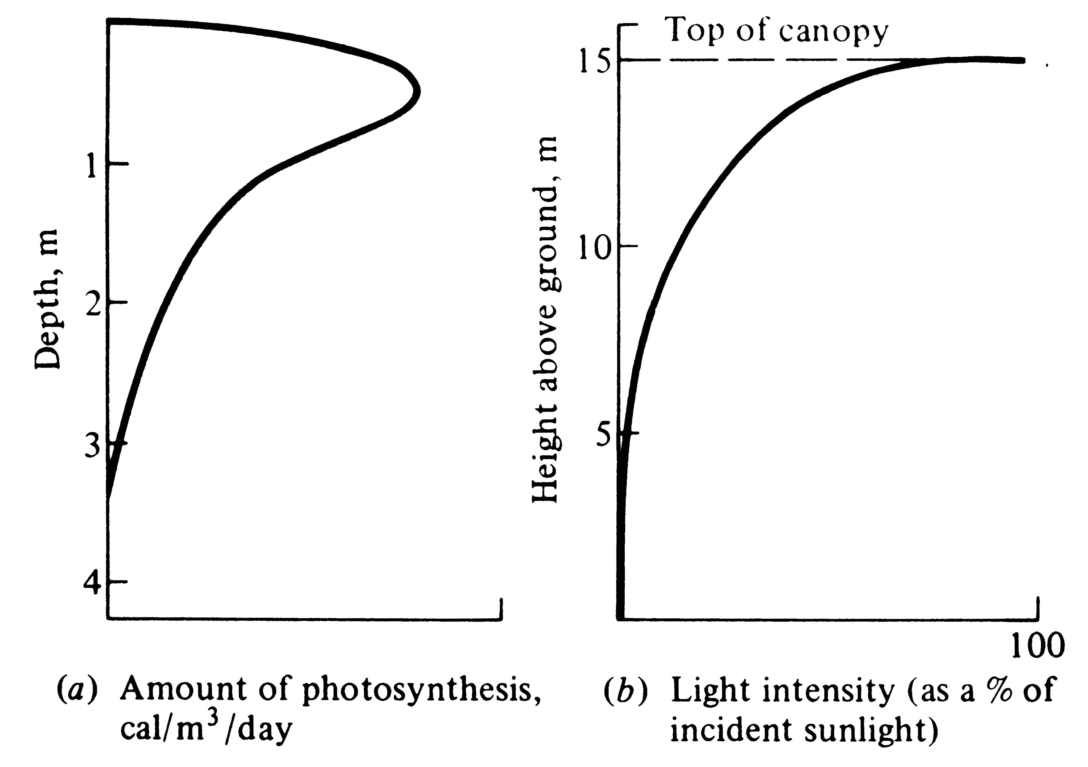relationship between light intensity and rate of photosynthesis