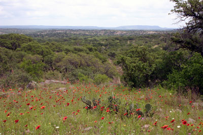 Rainfall Patterns at Fly Gap