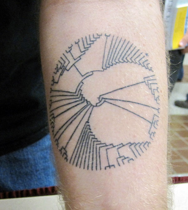 Tree of Life Arm Tattoo