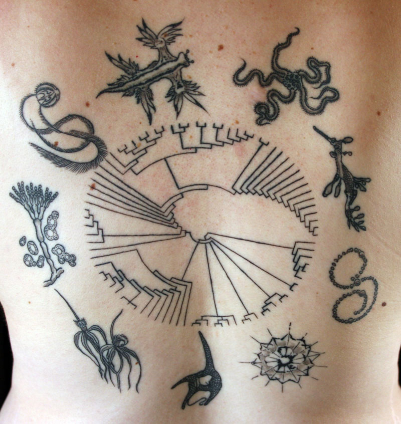 Tree of Life tattoo