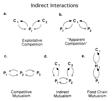 Exploitation Competition Examples