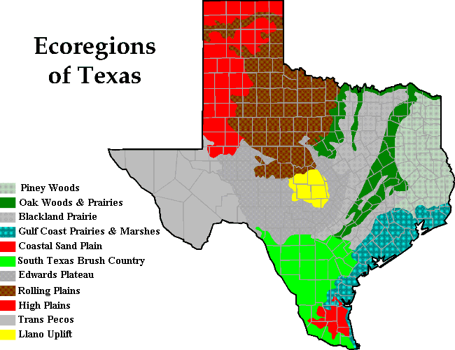 What biomes is Texas part of?