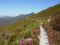 Robonson Trail