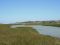 estuary